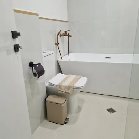 La Maison Des Fleurs Free Parking Apartman Pazardzsik