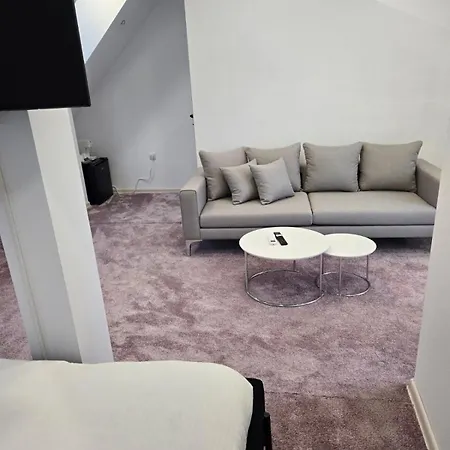 La Maison Des Fleurs Free Parking Apartman Pazardzsik